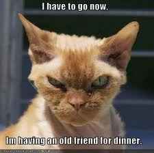 YES! I'm seeing more of our posts and less spam!