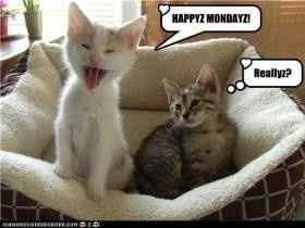 Uhhhh, Where have I been??!!