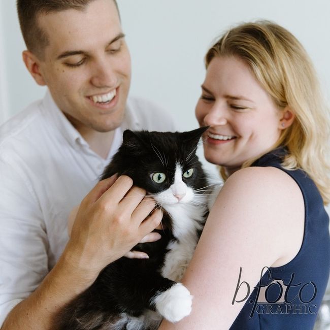 Any pet related stories? - 1