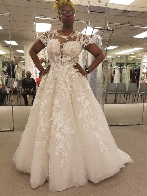 Where Did You Purchase Your Dress? 6