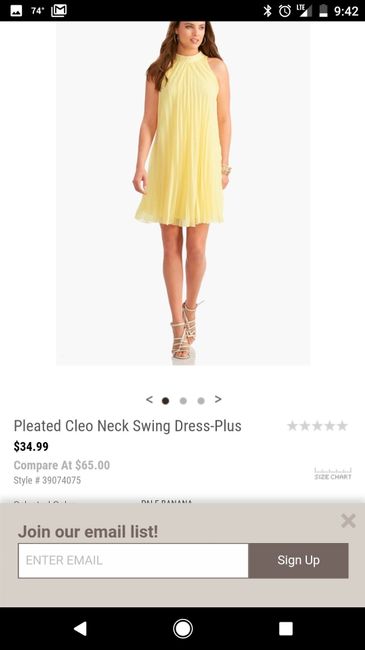 I've had it with bridesmaid dresses!