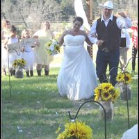 Sunflowers in April - 1