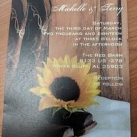 Sunflowers in April - 2