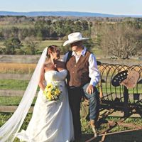 Sunflowers in April - 3