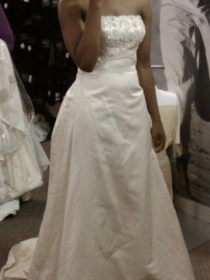 Not your dream dress (pic heavy)