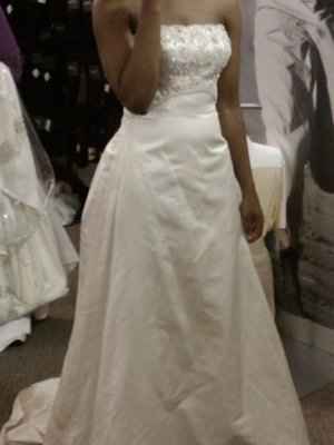Not your dream dress (pic heavy)