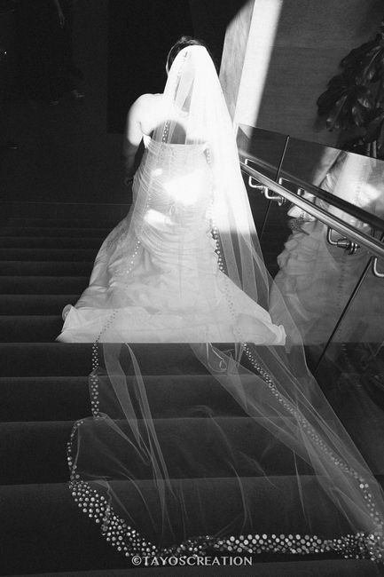 Show me your Veils