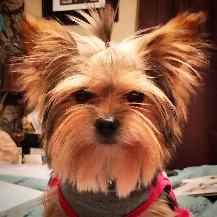 NWR: Pics of your pets :)