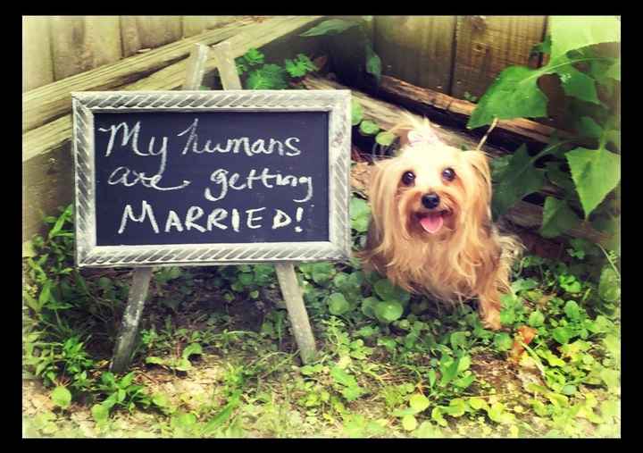 How did you announce your engagement?