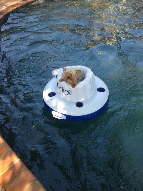 @Tania & Jason - - - THANK YOU!!!