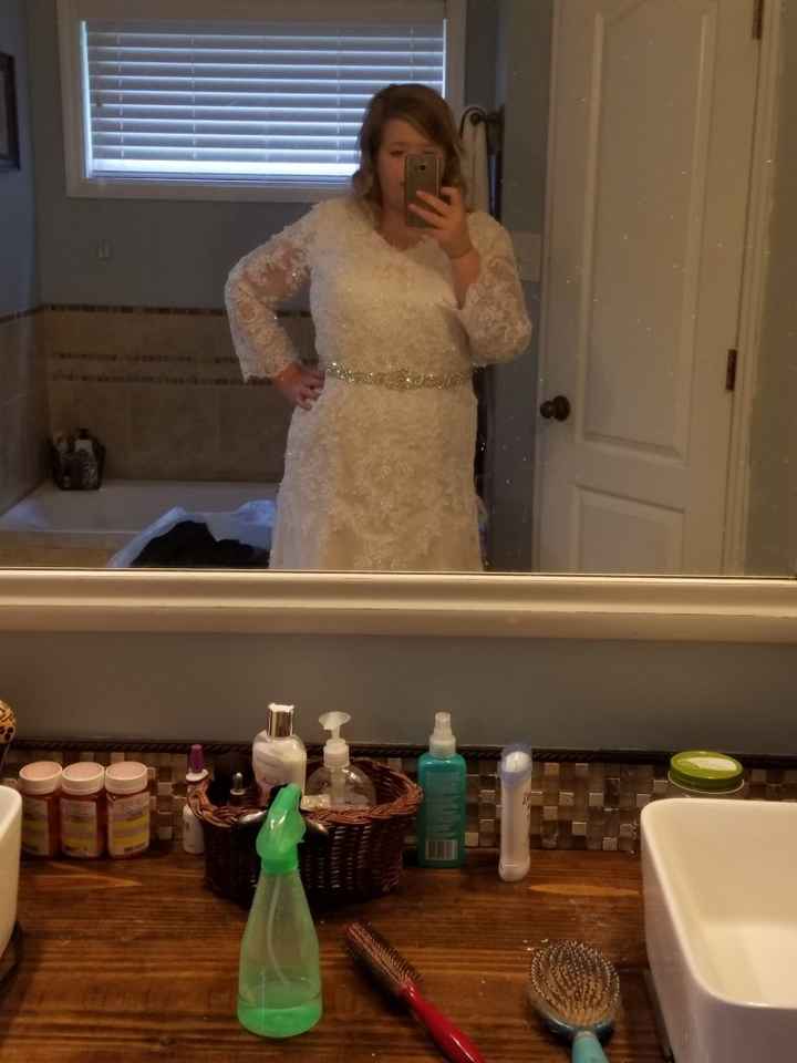 Belt or no belt? - 1