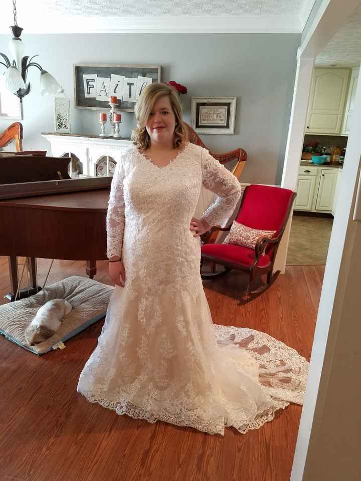 Belt or no belt? - 1