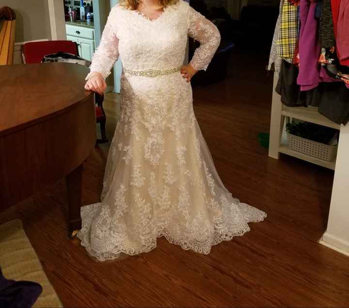 Wedding dresses under 500?! Help! - 1
