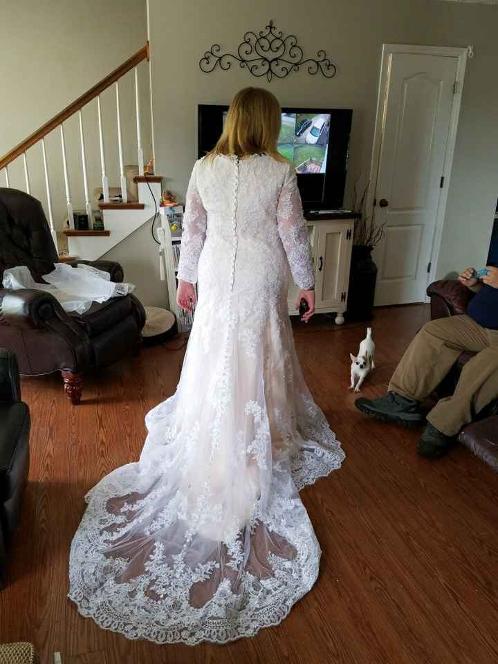 My wedding dress - 2