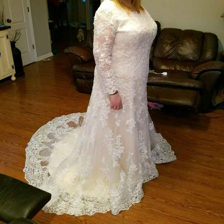My dress came - 4
