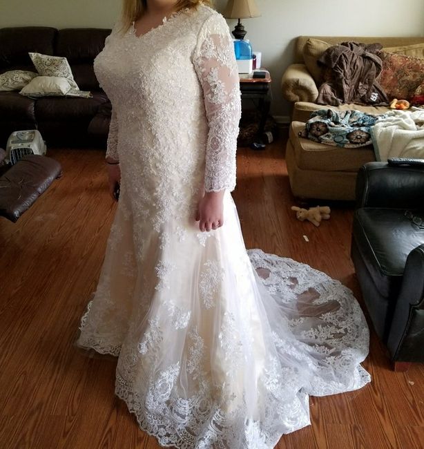 My dress came - 3