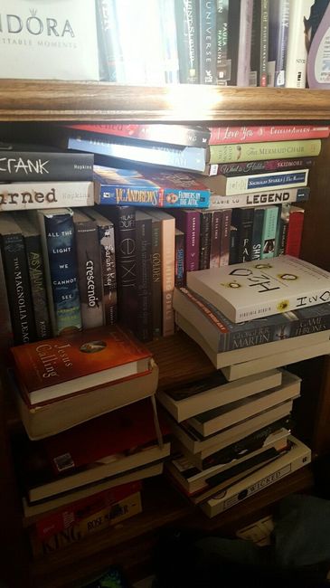 What books have you loved lately?