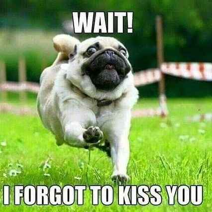 Me, every single morning..