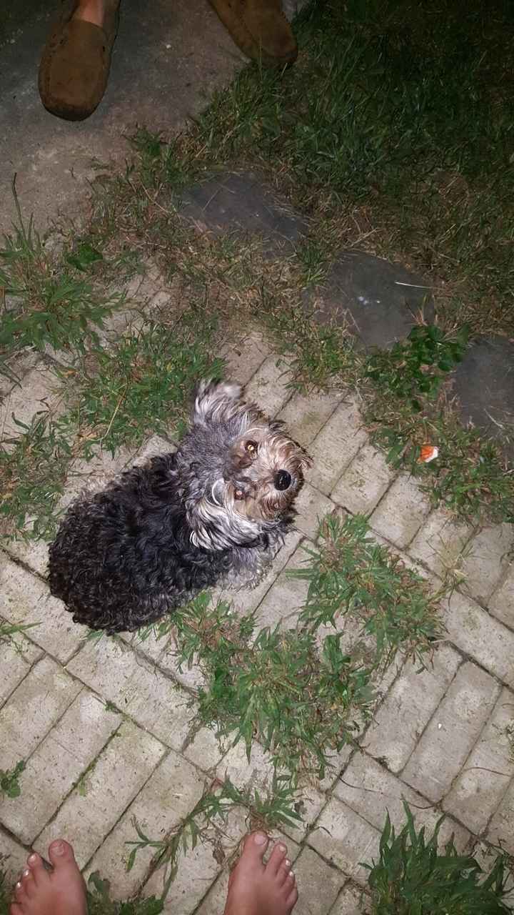 NWR feeling down: send happy pictures