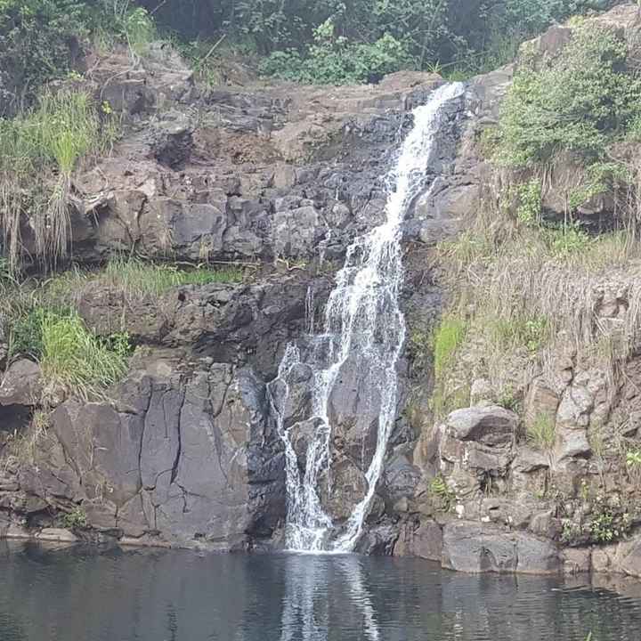 BAM and BAH- what an incredible time!!