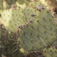 Brides of 2020!  Show us your ring! - 1