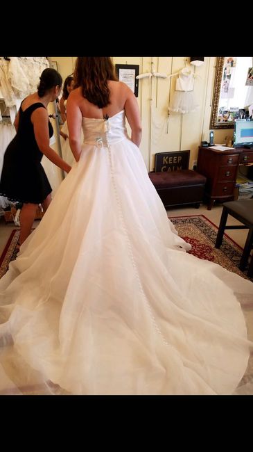Wedding dress help! - 3