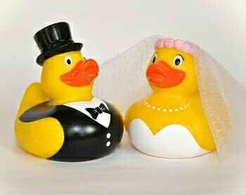 Rubber duck themed wedding?
