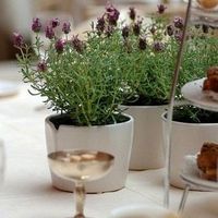 Lavendar, Green, white centerpieces