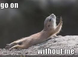 This is how I feel about wedding planning....