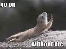 This is how I feel about wedding planning....