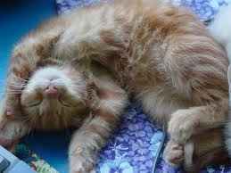 :`(    9,998... 9,999... 10,000 Posts...  I'll Miss you All  ~