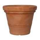 Where to get flower pots for drinks?