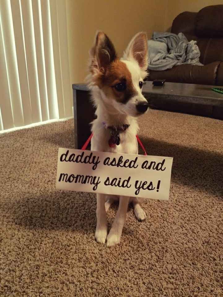 Facebook  engagement announcement
