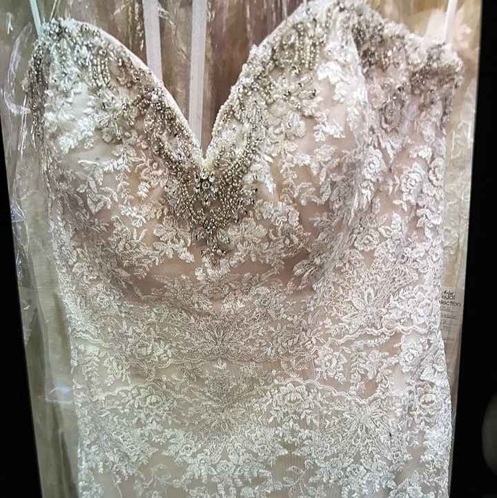 Let Me See Your Dresses: Plus Size Edition