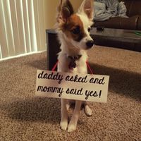 Facebook  engagement announcement