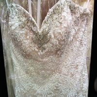 Let Me See Your Dresses: Plus Size Edition