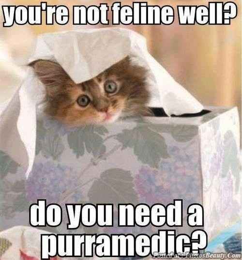 I need you now more than evahhh!