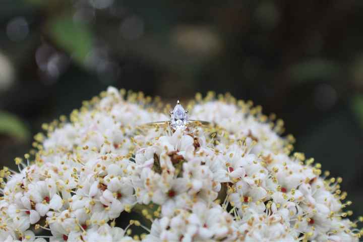Brides of 2021! Show us your ring! - 1