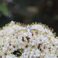 Brides of 2021! Show us your ring! - 1