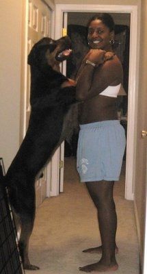 NWR - Furbabies :)