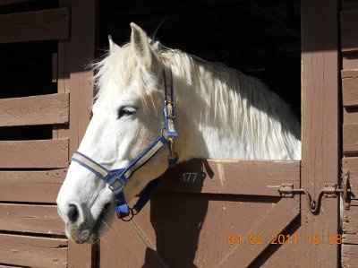 July Brides-3 Months! *PICS