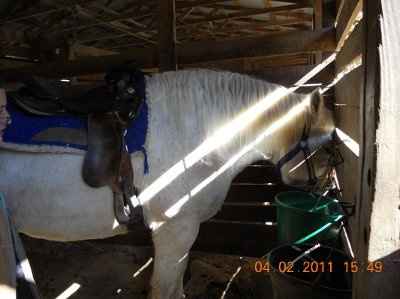 July Brides-3 Months! *PICS