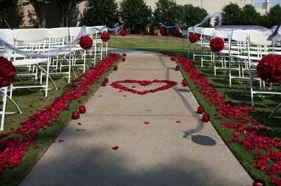 Reception Photos *PICS*