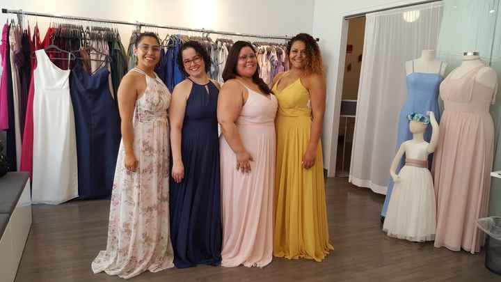 Bridesmaid Dress Help! - 1