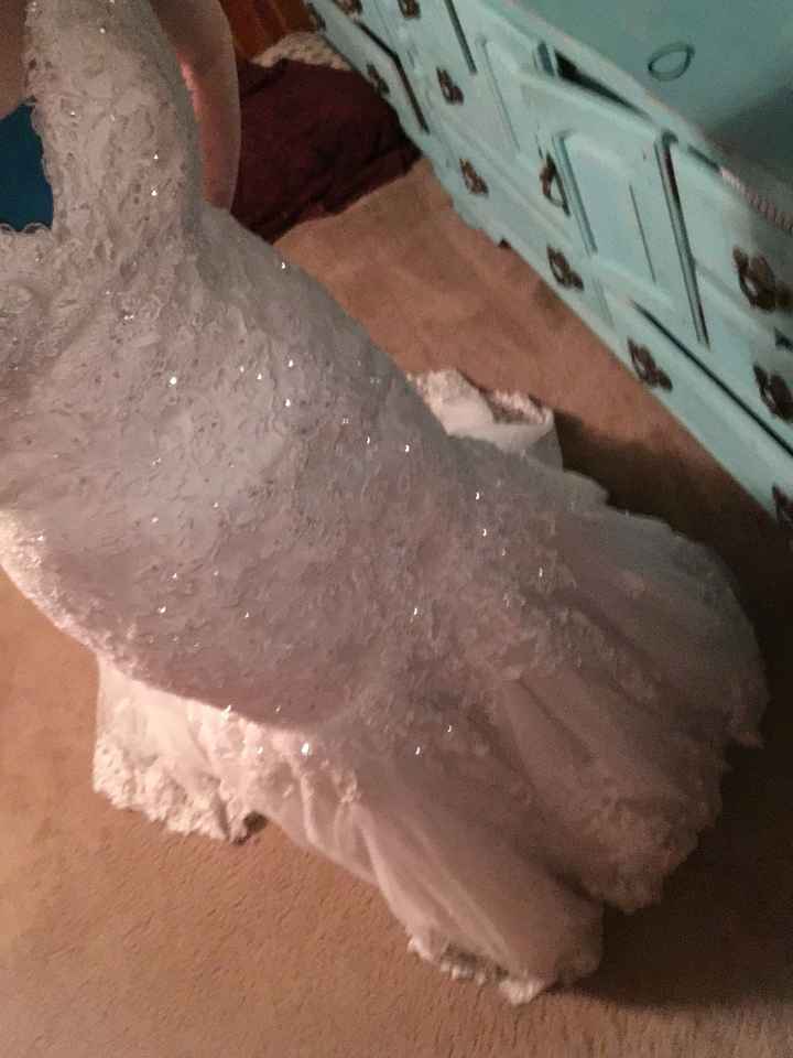  To alter my dress or not - 3