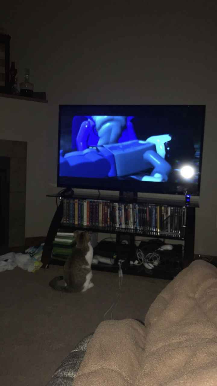 How did you celebrate your engagement? 💍 - 3