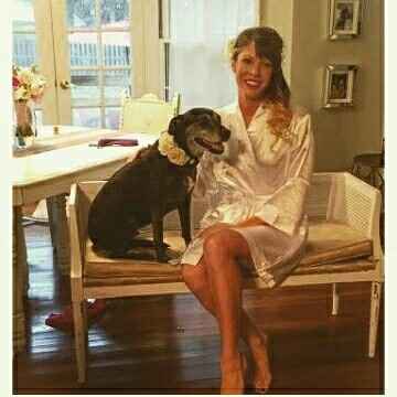 Dog in wedding