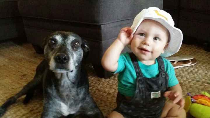 NWR- pets! We love them show me yours :)