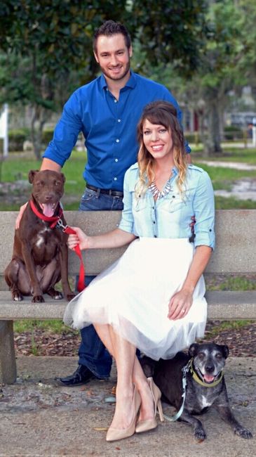 Engagement pictures with doggies