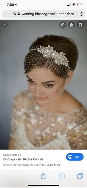 Bird cage veils? Under or over a tiara? 7